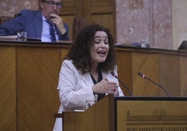 Por Andalucía: «Exigimos otro modelo de financiación, pero la comunidad no tiene un problema de dinero, es un problema de gestión»