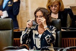 La Junta de Andalucía insiste en que el plan de contratos MIR de verano «cumple la ley» y que el Ministerio no puede «paralizarlo»