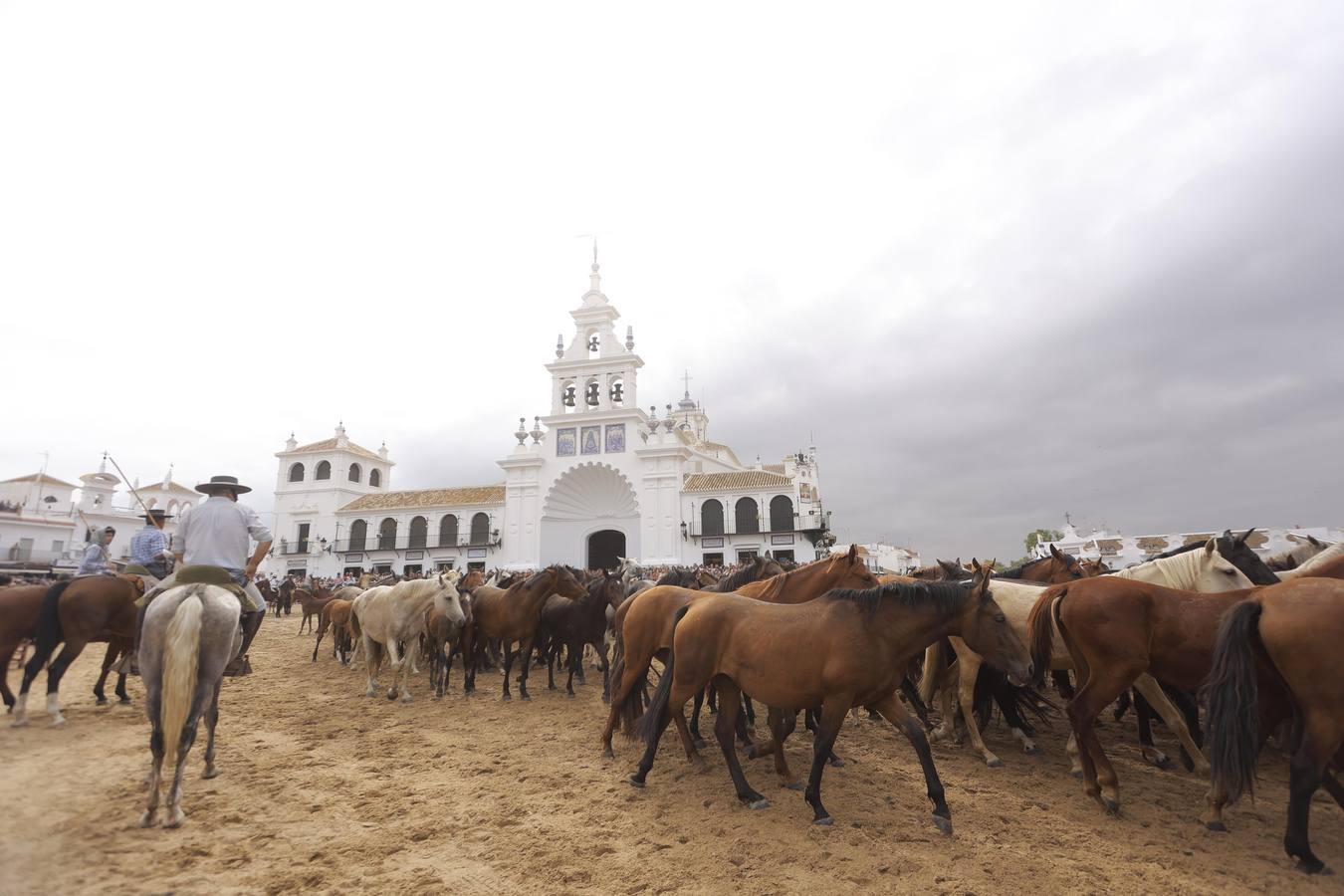 Espectaculares imágenes de la Saca de las Yeguas a su paso por El Rocío