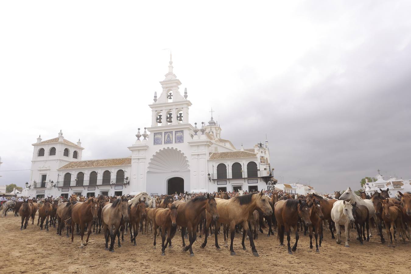 Espectaculares imágenes de la Saca de las Yeguas a su paso por El Rocío
