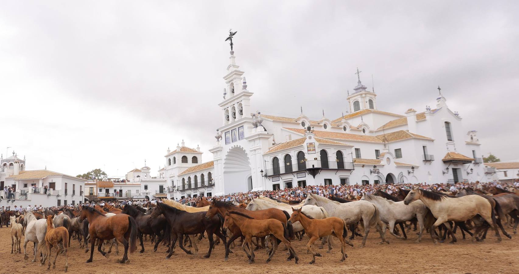 Espectaculares imágenes de la Saca de las Yeguas a su paso por El Rocío
