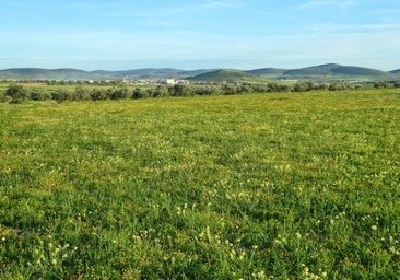 Nueva polémica por el proyecto de tierras raras en la provincia de Ciudad Real