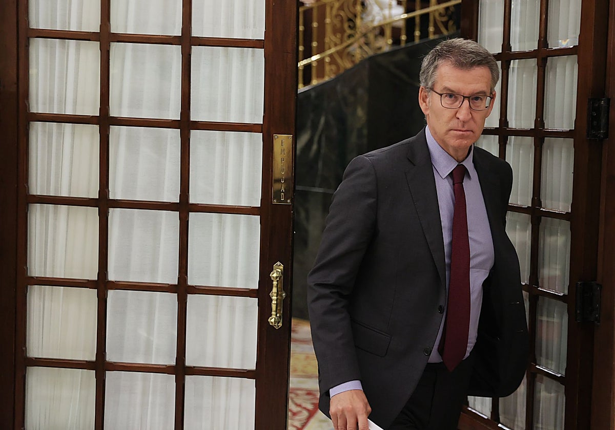 El líder del PP, Alberto Núñez Feijóo, en el Congreso