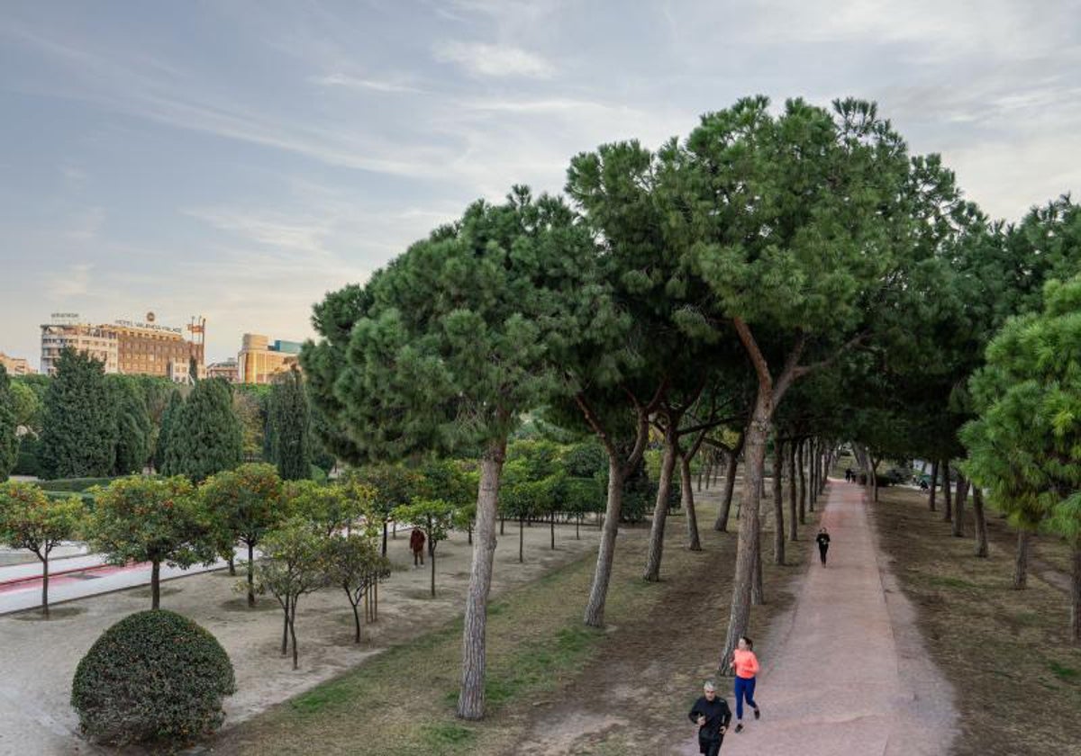 Imagen de archivo tomada en el Jardín del Turia de Valencia