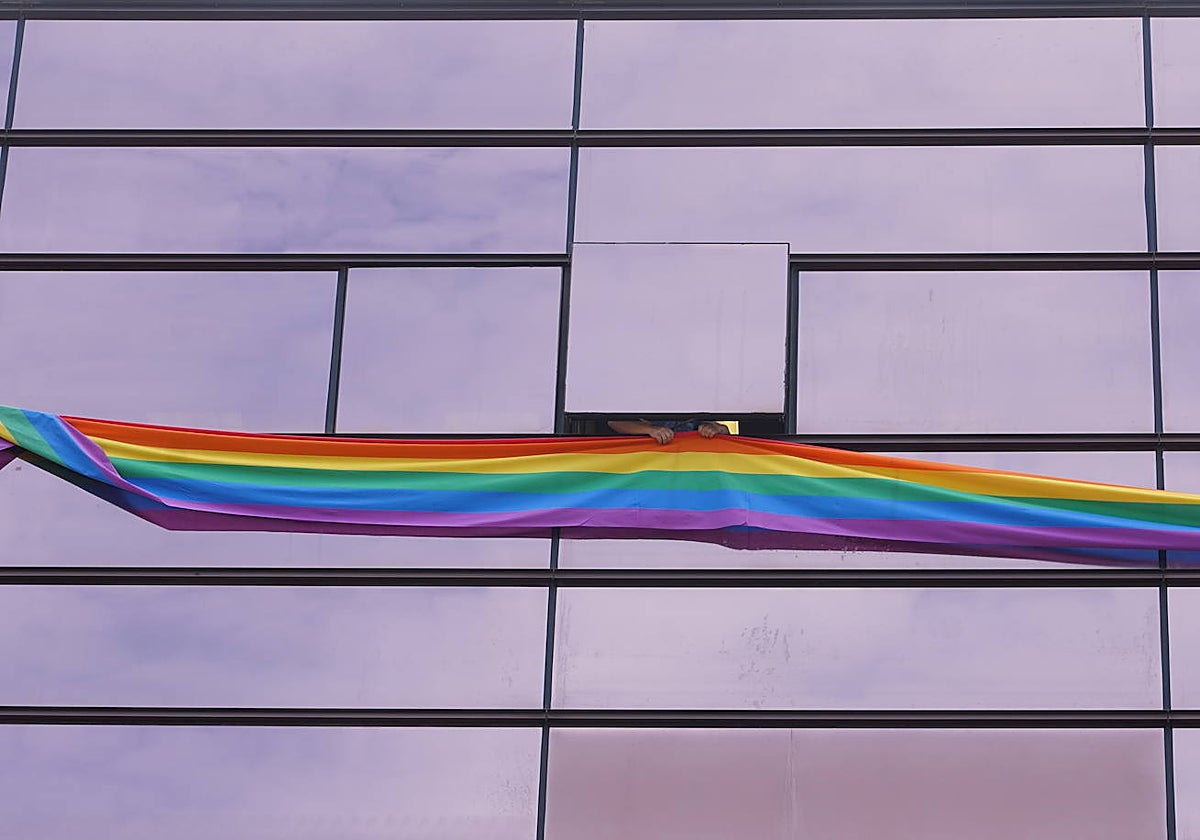 Bandera colgada por el Grupo Socialista en las Cortes