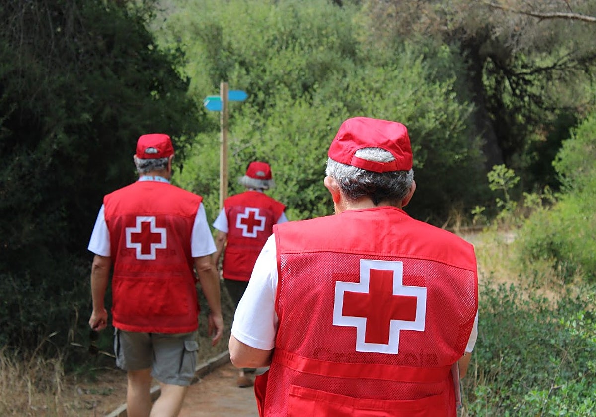 Imagen de archivo de voluntarios de Cruz Roja en la Albufera de Valencia