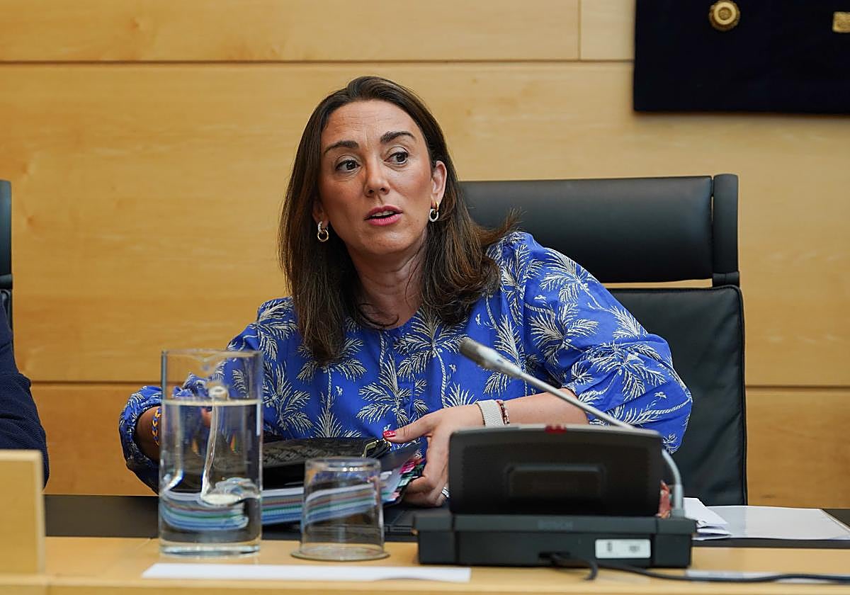 González Corral, este martes en las Cortes de Castilla y León