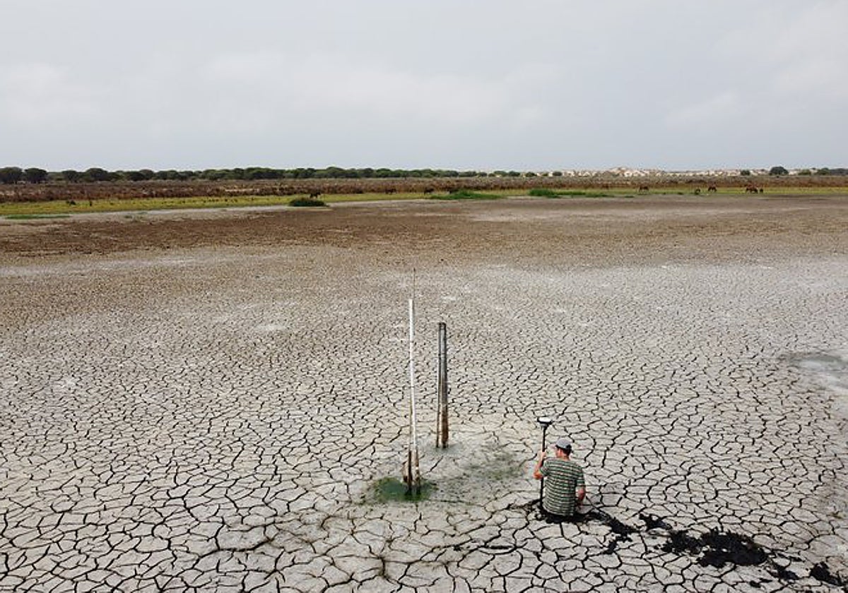 Imagen de hace unos meses de una de las lagunas de Doñana completamente seca