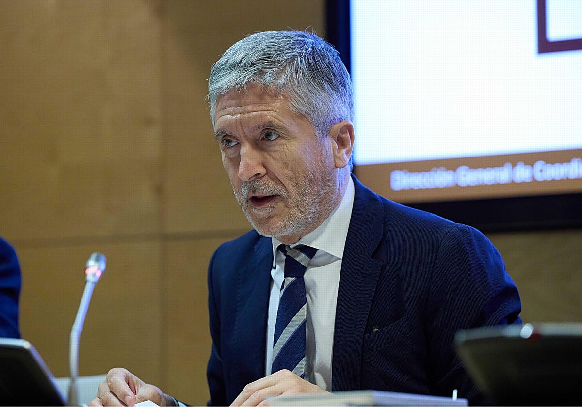 Fernando Grande-Marlaska, Ministro del Interior