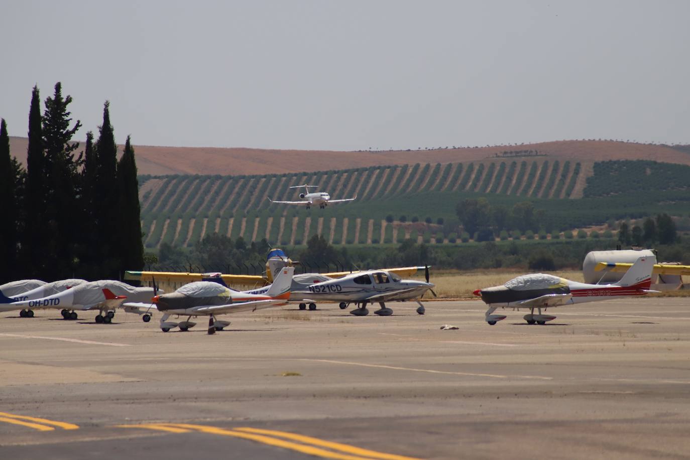 Fotos: la llegada del primer vuelo regular de Palma de Mallorca a Córdoba