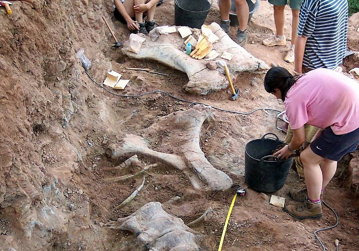 Afloramientos de fósiles de dinosaurios y restos de vegetación carbonificada en Vallazmorra