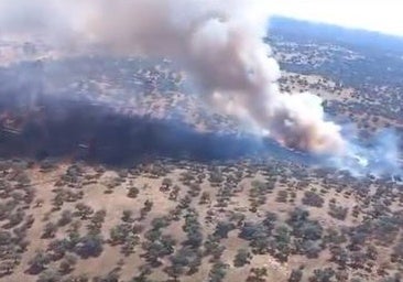Aviones del Infoca trabajan en la extinción de un incendio forestal en Villanueva de Córdoba