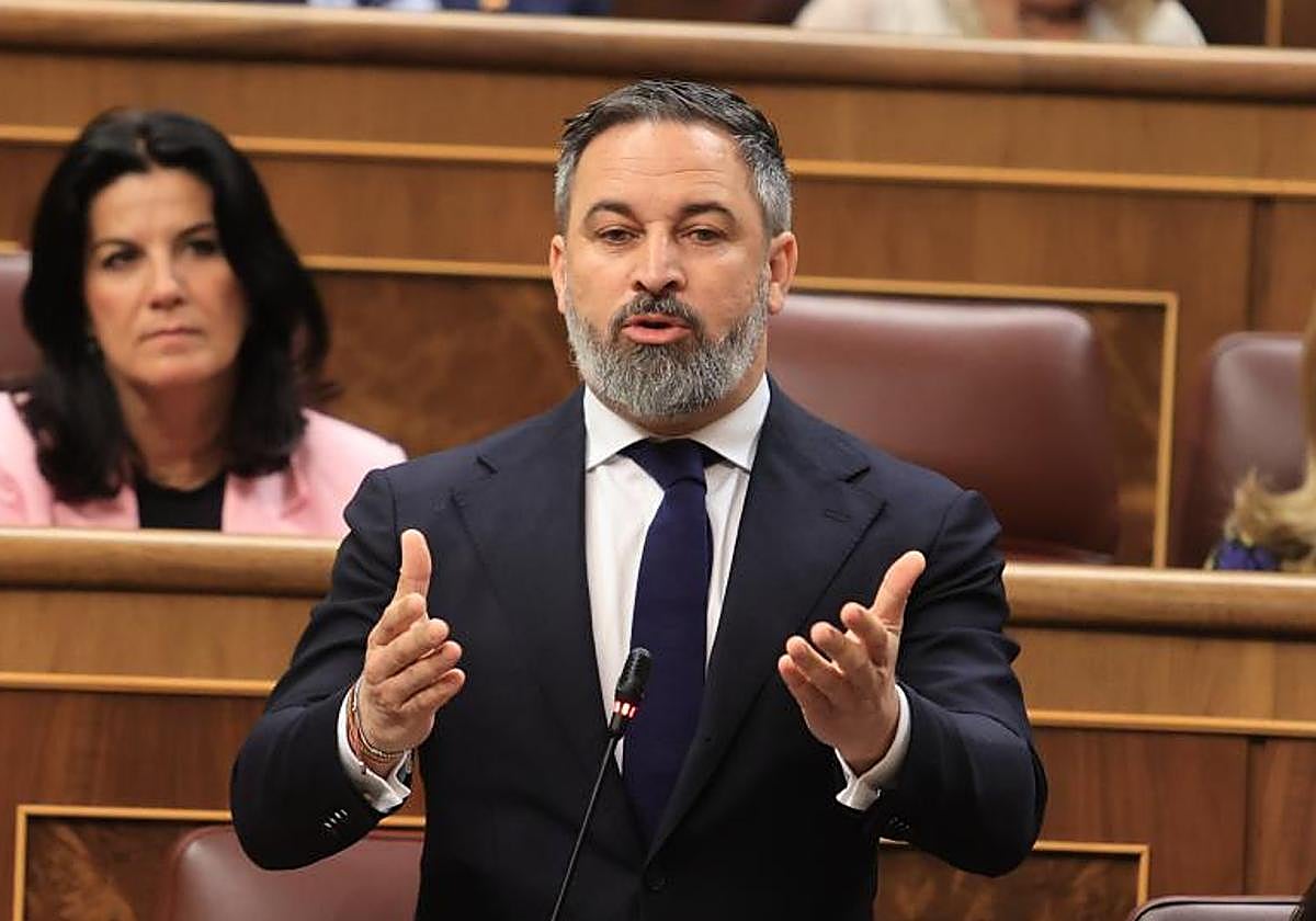 Santiago Abascal, líder de Vox, durante una intervención en el Congreso de los Diputados