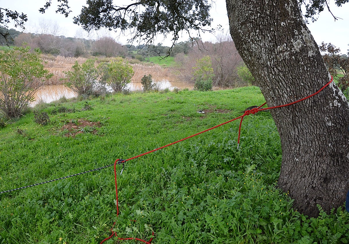 Cuerda guía empleada en el cruce del lago de la maniobra atada a una de las encinas de los extremos