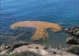 ¿Qué son las manchas rojas que aparecen en la orilla de las playas de Cádiz, Málaga o Granada?