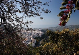 Ni Grazalema ni Setenil de las Bodegas: este es el pueblo de Andalucía más buscado en Internet