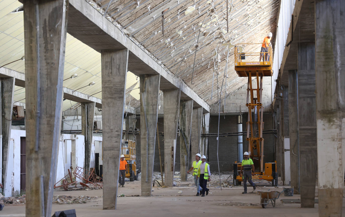 Las obras del Campus de FP en la antigua Escuela de Agrónomos de Córdoba
