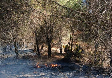 El virulento incendio en la zona del campo de tiro de Cerro Muriano, en imágenes