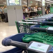 Mercadona busca personal para trabajar días sueltos por 841 euros de sueldo más complementos y contrato fijo