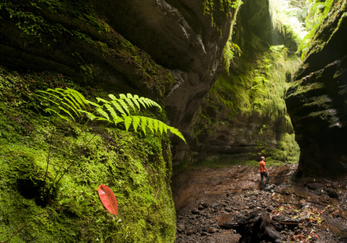 Parque Natural de las Nieves – Cubo de la Galga