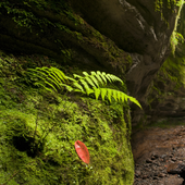 La isla de La Palma seguirá siendo Reserva de la Biosfera hasta 2034