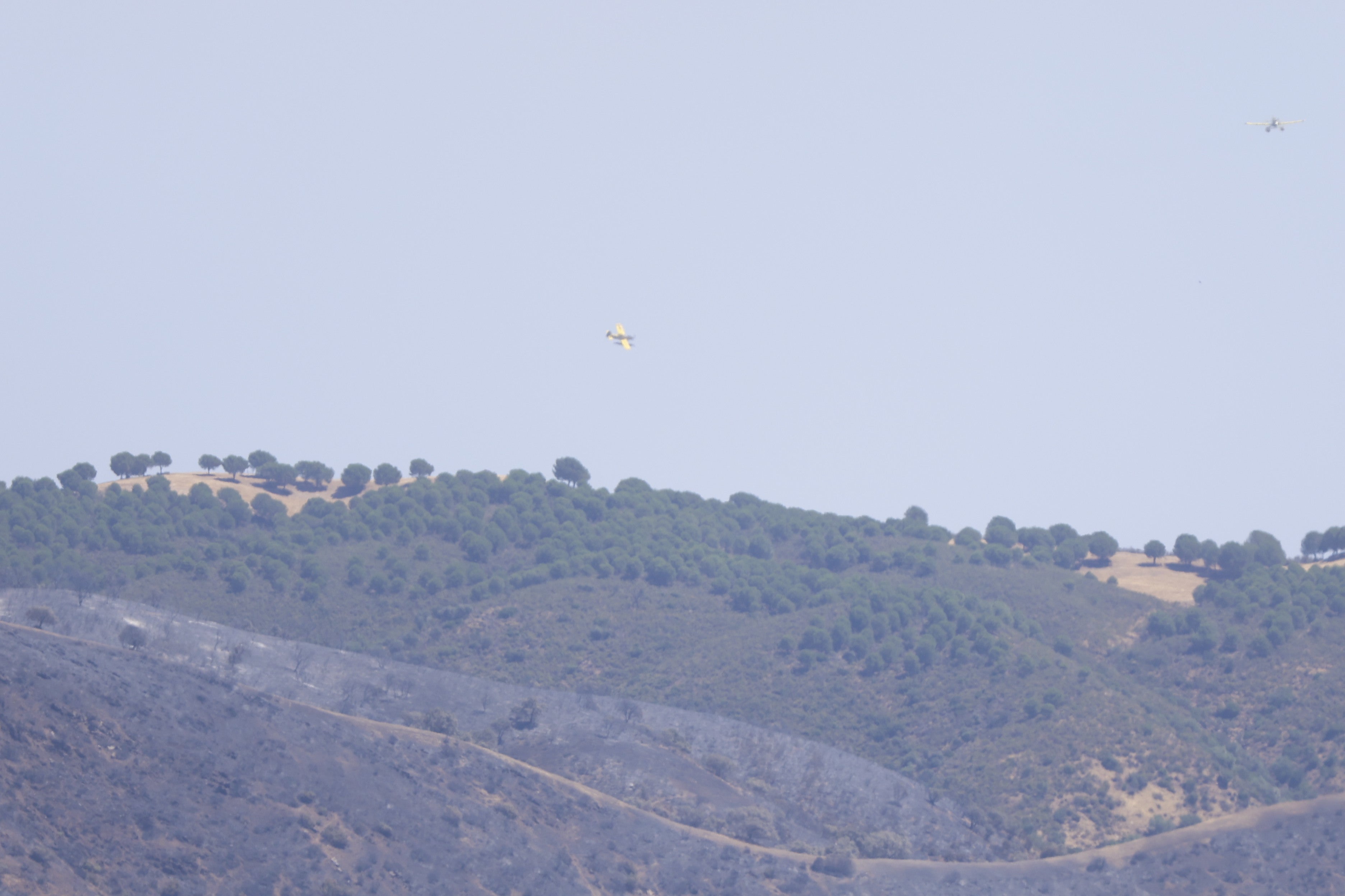 La lucha del operativo del Infoca con el complejo incendio de Obejo, en imágenes