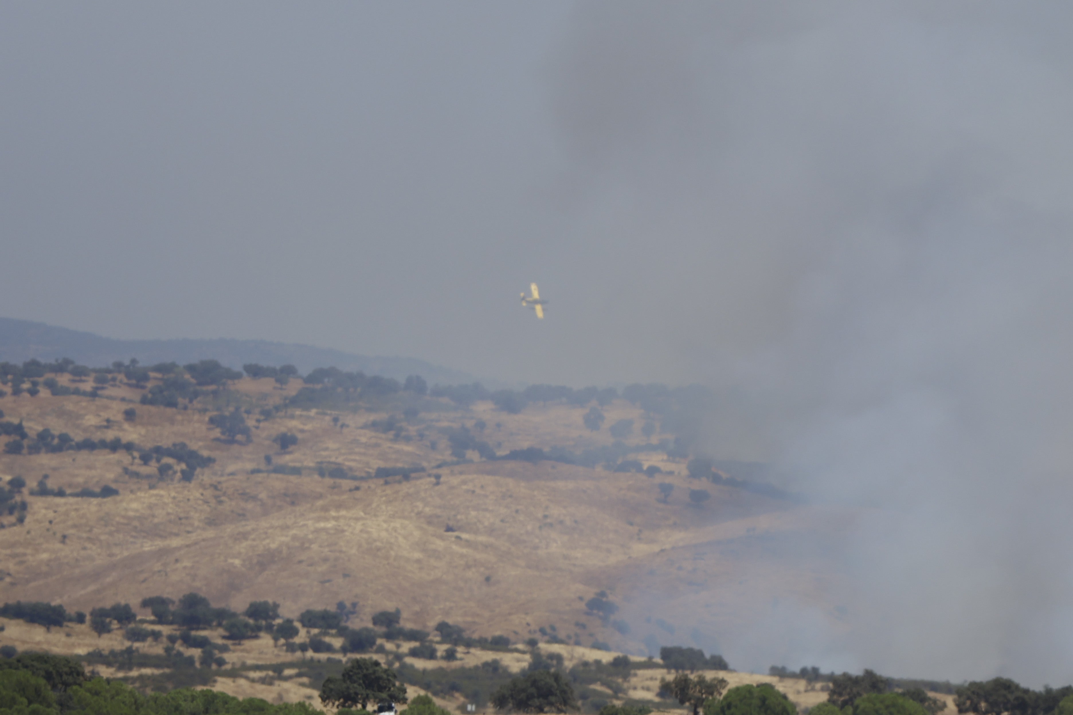 La lucha del operativo del Infoca con el complejo incendio de Obejo, en imágenes