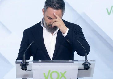 Vox, ¿Ciudadanos segunda parte?