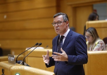 El Senado activa la comisión de investigación al CIS de Tezanos