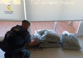 Descubren seis bolsas de basura llenas de cogollos de marihuana en su coche tras pararle en un control