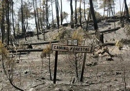 El Gobierno de Castilla-La Mancha recuerda a las 11 víctimas del incendio de Guadalajara y sus familias