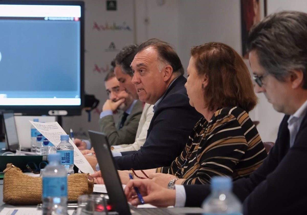 Arturo Bernal, en la reunión del Consejo Andaluz de Turismo, celebrado en en Málaga