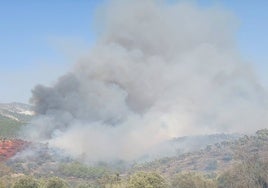 Desalojadas 70 viviendas y cortadas dos carreteras por un incendio forestal en la localidad granadina de Víznar