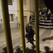 Denuncian a una médica que no pudo supervisar un festejo taurino: «Iba de lado a lado e intentó sustraer bebida»