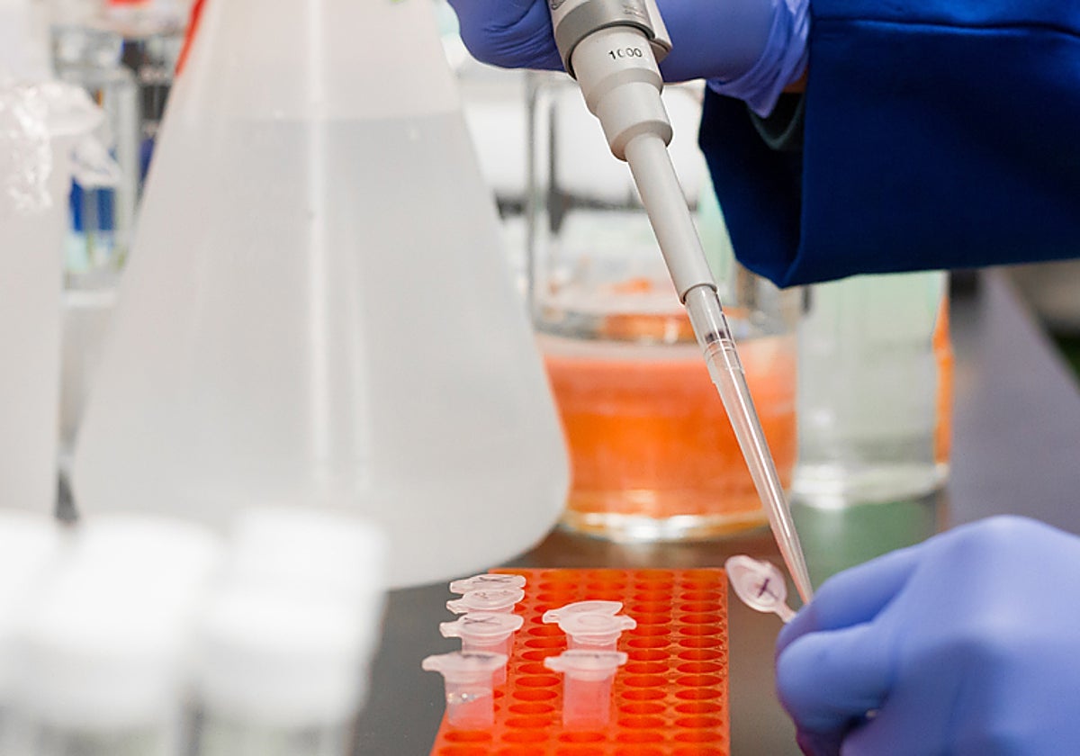 Imagen tomada en un laboratorio sanitario