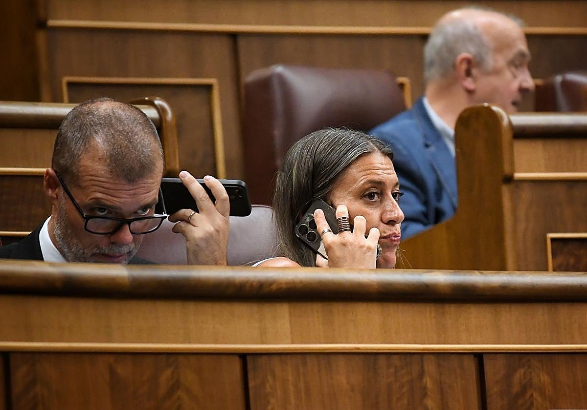 Cruset y Nogueras, portavoces de Junts en el Congreso