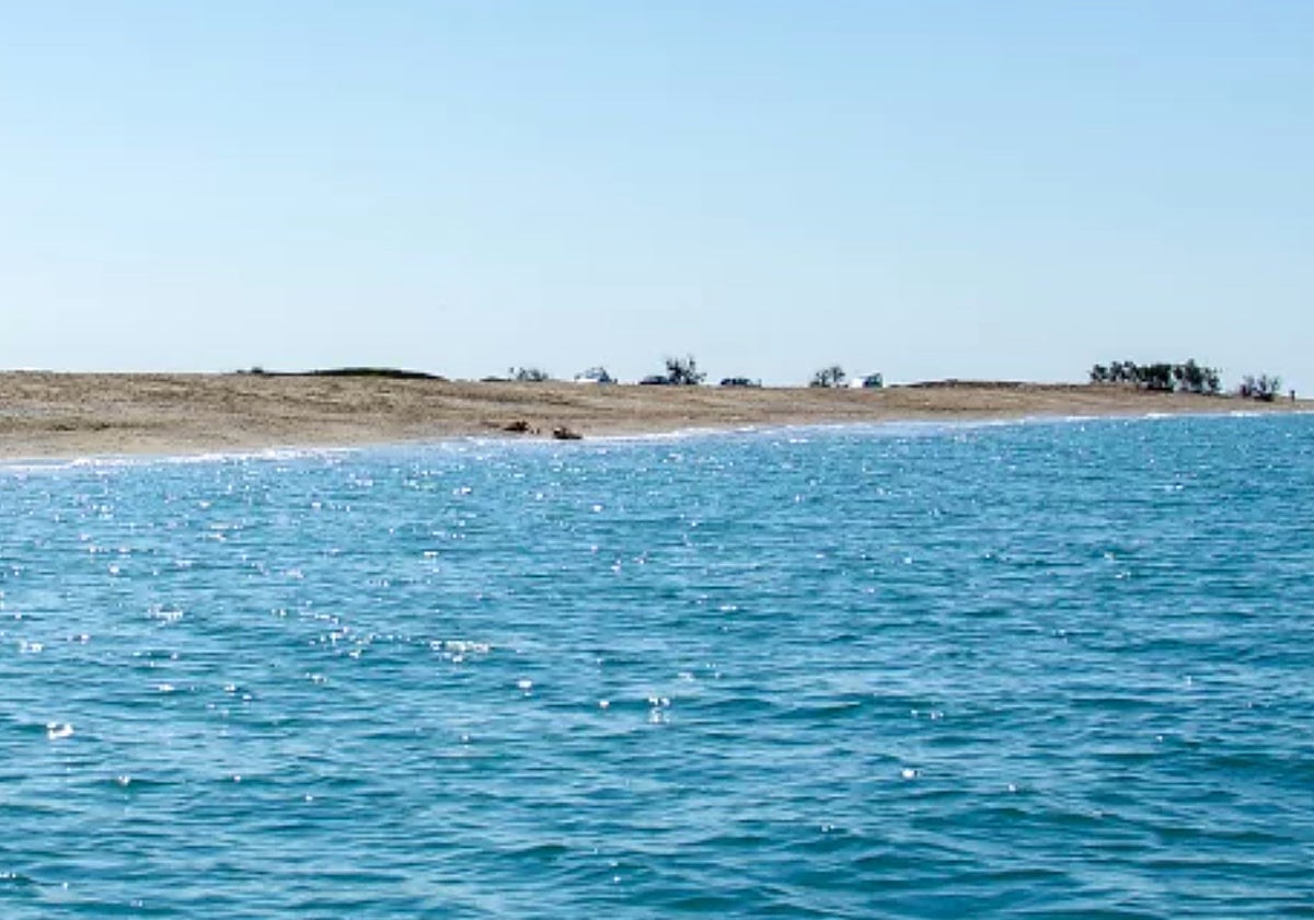 Vista de la playa de Punta Entinas en la pedanía de San Agustín en El Ejido