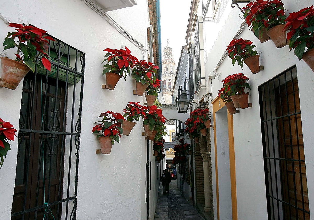 Imágenes del interior de la Calleja de las Flores
