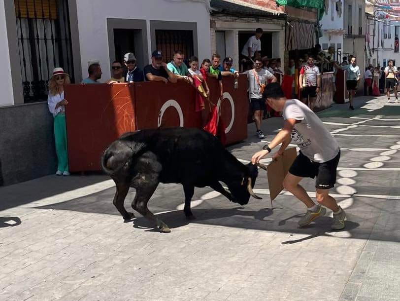 Las imágenes del primer encierro taurino de El Viso por Santa Ana