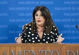 La subida de las dietas de los parlamentarios que plantea Aguirre enciende las alarmas del PSOE, Adelante y Por Andalucía