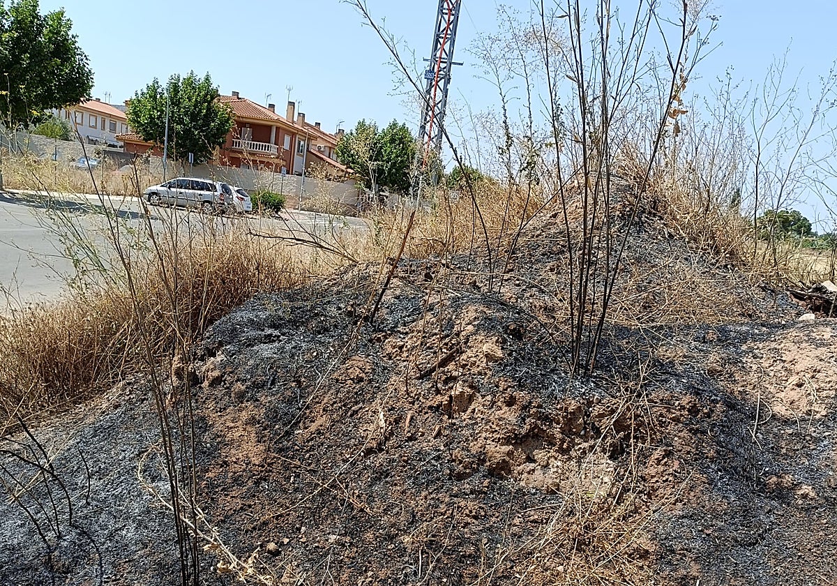 Zona de pastos devorada por las llamas. Al fondo los chalés