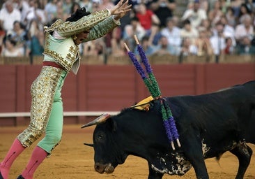 Castilla y León celebrará de agosto a octubre su V Circuito de Novilladas