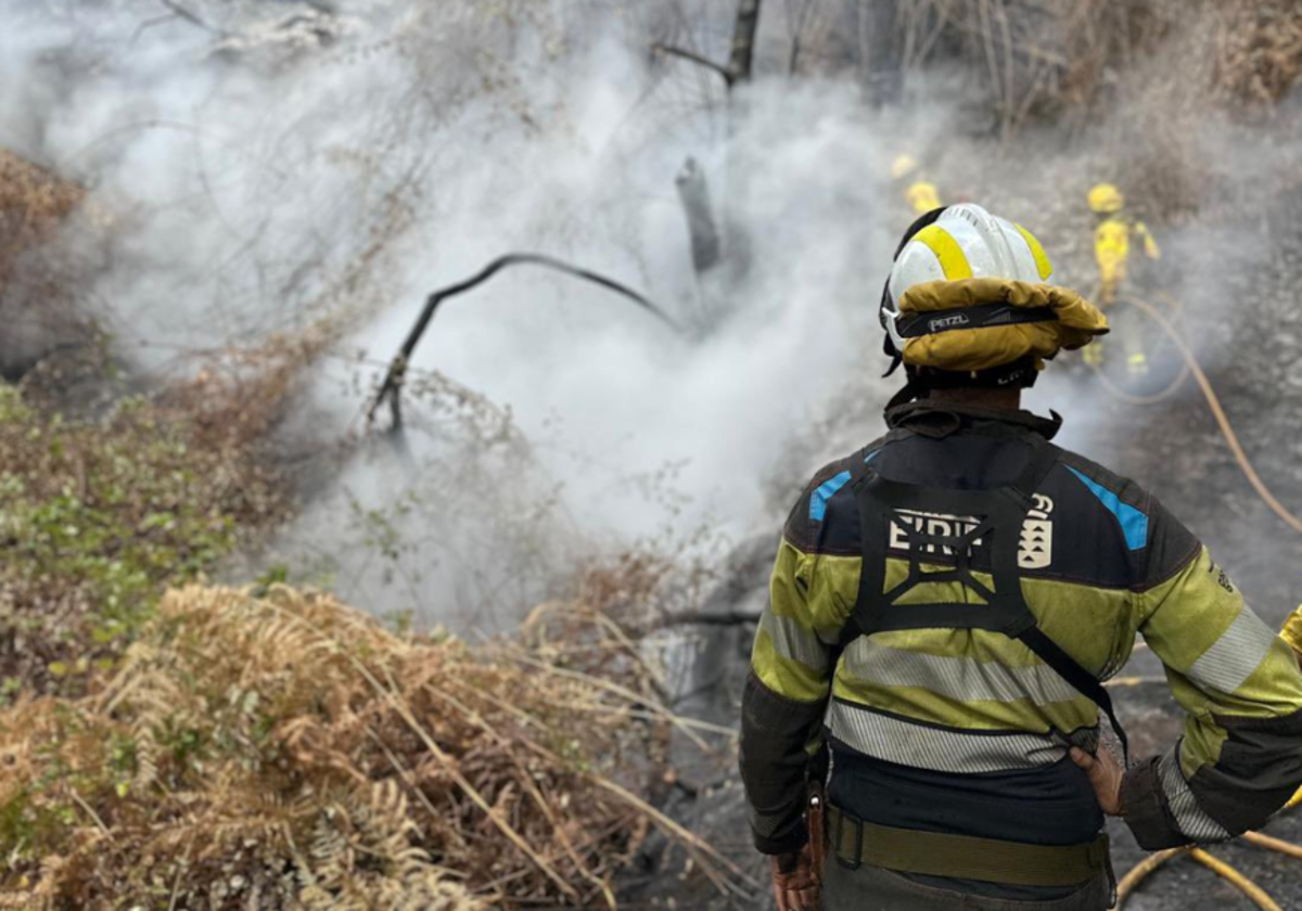 Trabajos de extinción y remate del incendio forestal del pasado verano en Tenrife