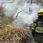 Tenerife, a la caza del pirómano: detenido el autor del incendio de La Esperanza de hace dos semanas