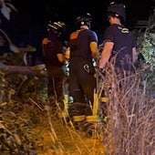 El 112 atiende 323 incidencias relacionadas con el fuerte viento del lunes en Madrid