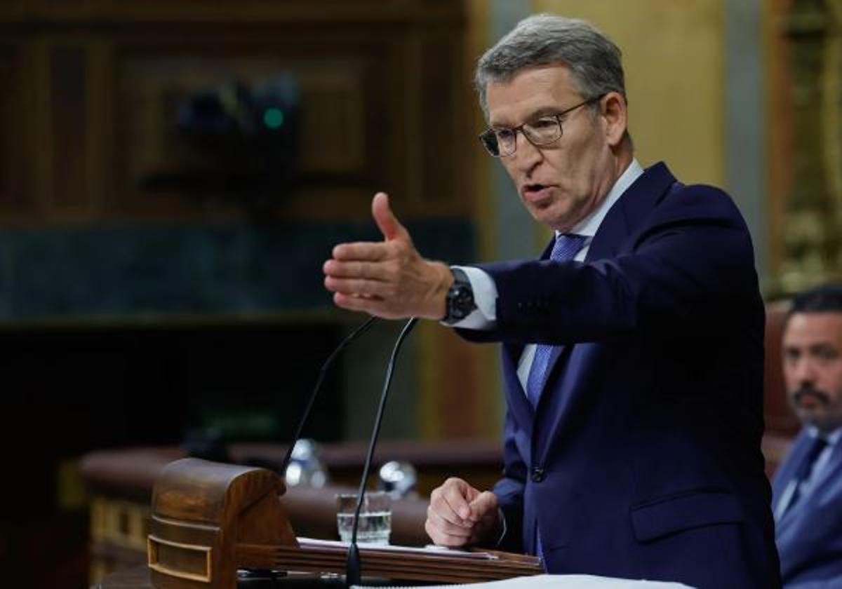 El presidente del PP, Alberto Núñez Feijóo, en una imagen de archivo