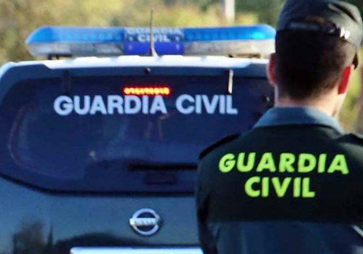 Detenido en un autobús un joven madrileño que transportaba en dos maletas 28 kilos de marihuana