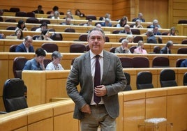 Juan Espadas, partidario de aplazar a septiembre un posible Comité Federal del PSOE tras el pacto fiscal en Cataluña