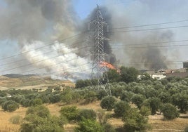 Los incendios de Loeches, El Molar y Cercedilla ponen en alerta a Madrid en agosto