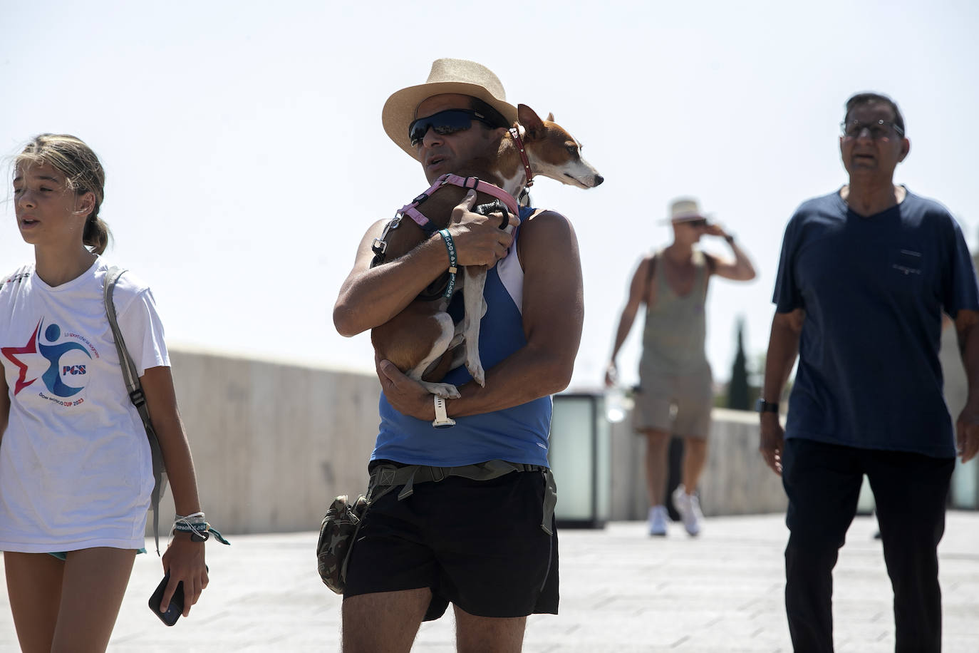 Fotos: El prolongado calor sacude Córdoba este domingo